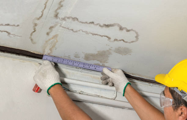 Reliable Mold Remediation contractor in Ravenna, TX by Water Damage Irwin